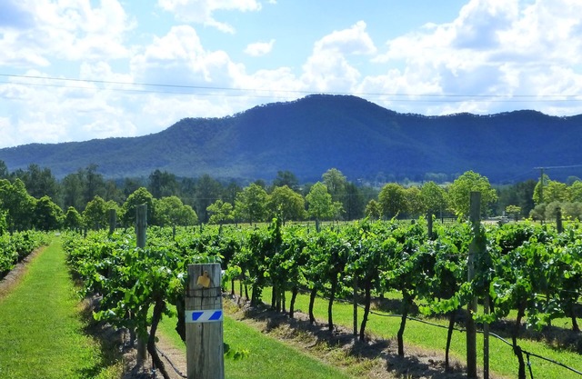 Vinos de Winmark | Residencia Winmark
