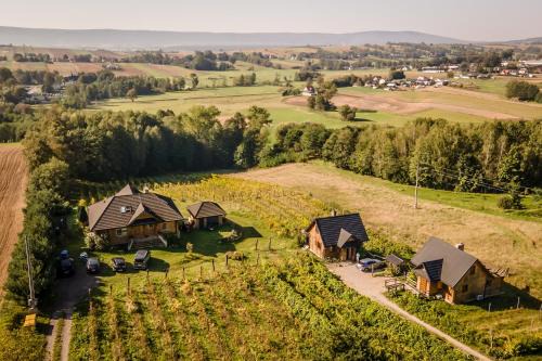 Winnica Nad Źródłem - Domki w winnicy z kominkami i tężniami