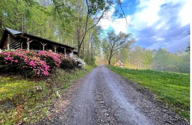 WNC Cabin: Perfect family basecamp or getaway!nn