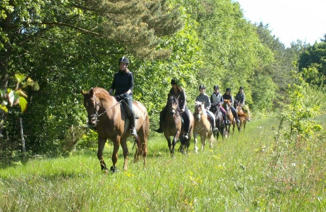 Wohnung 5 auf dem Ferienhof Eilts -viele Ponys und Sonstige Tiere in Nordseenähe