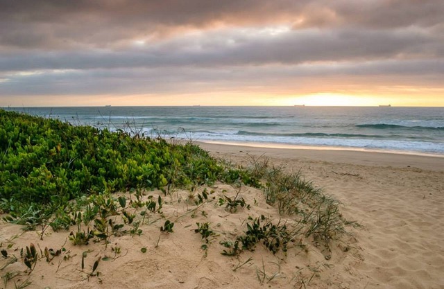 Wollongong Surf Leisure Resort