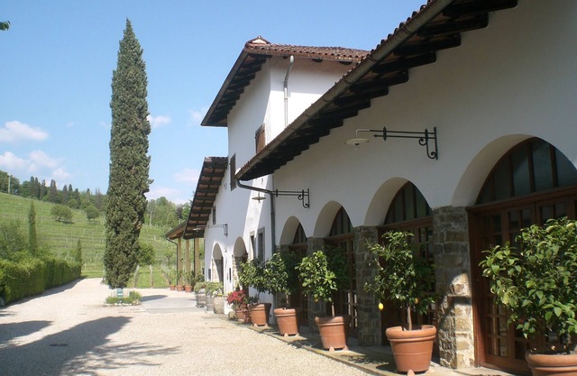 magnifique région au milieu des vignes où vous pourrez vous détendre et déguster du vin