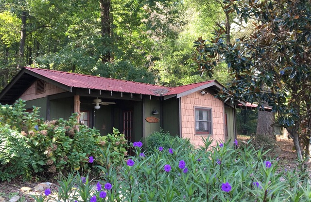 Magnifique cabine confortable en face du lac Guntersville