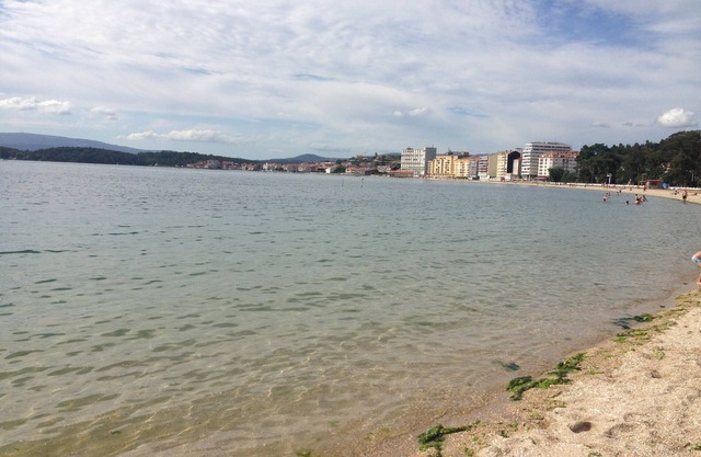 Magnifique appartement en bord de mer