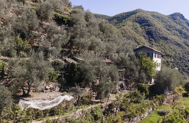 Merveilleuse maison de vacances privée avec WIFI, climatisation, balcon, vue panoramique et parking
