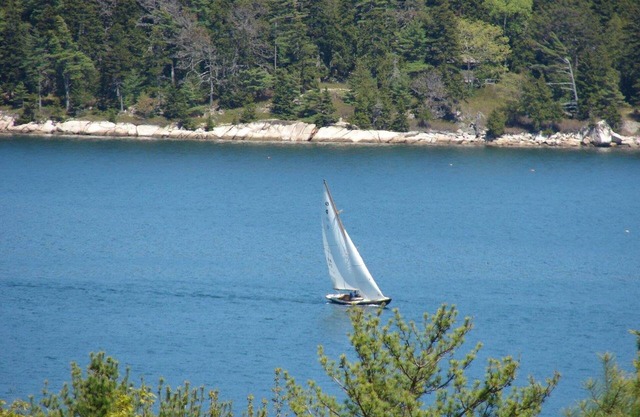 Vues magnifiques sur Somes Sound et Sargent Mountain