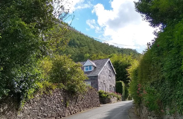 Old Rectory Cottage, près de Betws y Coed dans le parc national de Snowdonia. Chien amical