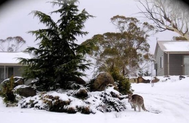 Woodbury Park Jindabyne