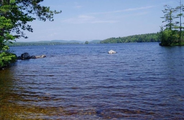 Wooded Highland Lake Waterfront Cabin - Grande plage et quai