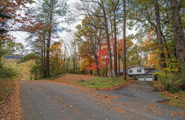 Wooded Writer's Retreat with pool