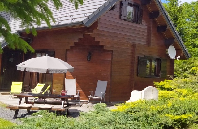 CHALET BOIS + SPA "Les Ecureuils" N°1 (4 etoiles) LE MONT DORE / VUE MONTAGNES