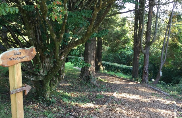 woodland cottage