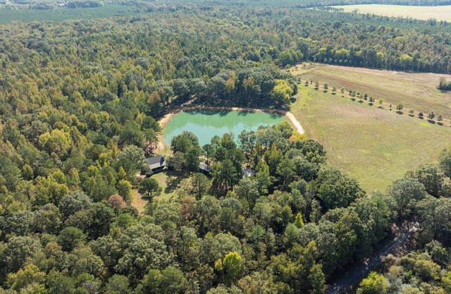 Charming Woodland Retreat - 27 Miles from Bryant-Denny Stadium