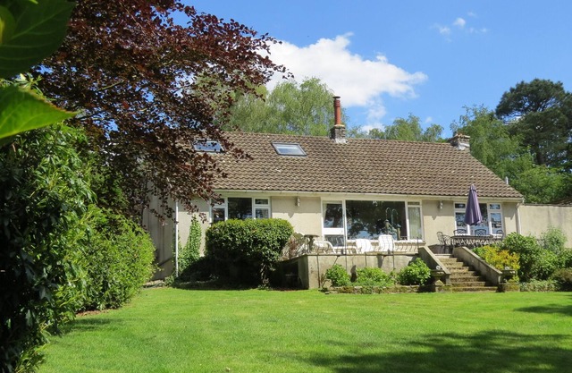 Nature lover's hideaway Birchroft sits in over an acre of woodland