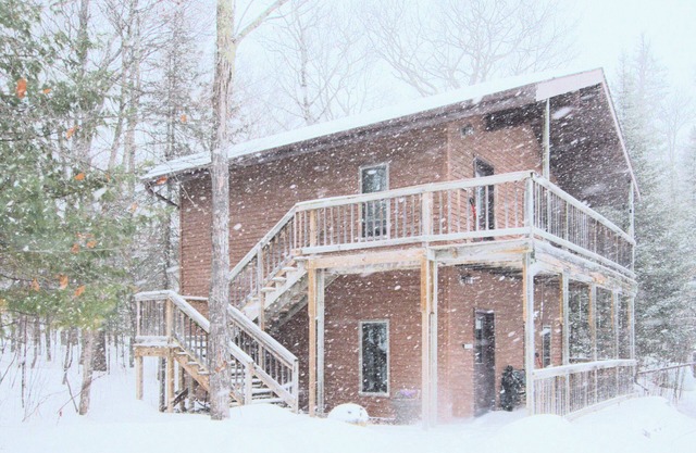 Serene Woodland Apartment Minutes from Bayfield!
