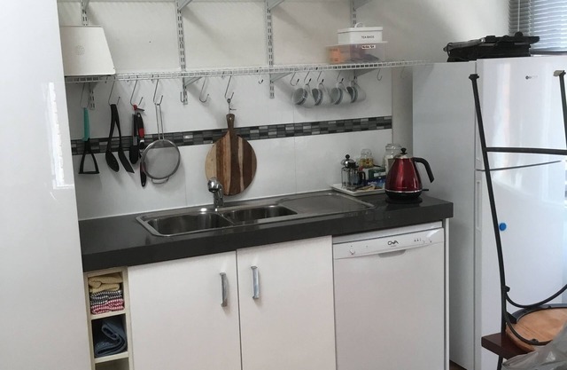 Appartement de 2 chambres avec chien, ameublement luxueux, cuisine et Netflix