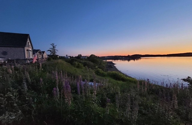World’s highest tides! Pet friendly, bay front cottage with huge fenced yard.