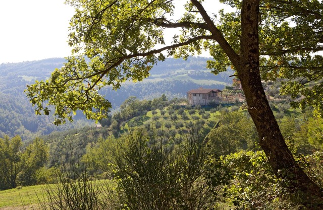 VILLA EN PIERRE SUR LE HAUT D'UNE COLLINE D'OLIVES AVEC PISCINE