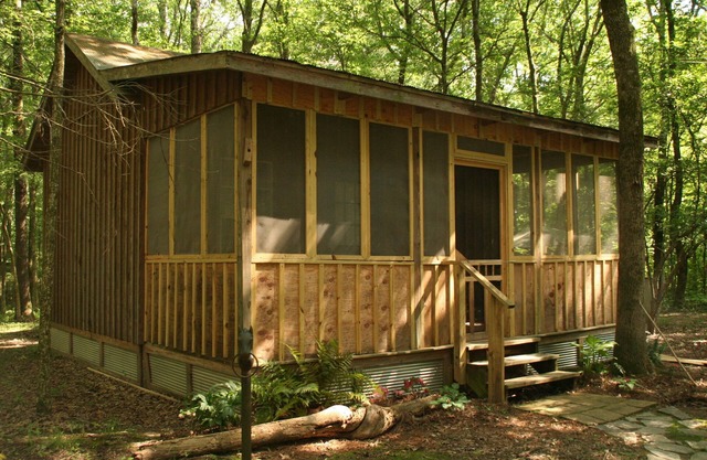 Wynnewood Rustic Cabin dans les bois