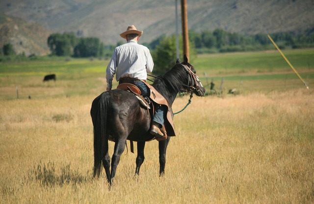 Wyoming Ranch Experience with a Comfortable Cabin