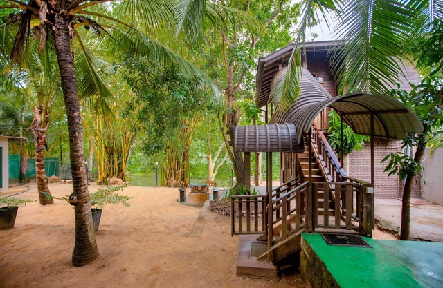 Yala River Face Inn