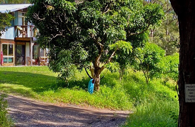 Yarrahapinni Off Grid Spacious & cosy. Close to Beach & National Park