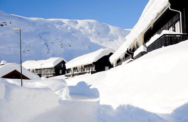 Year-Round Escape – Ski, Hike & Explore Near Trolltunga & Fjords!