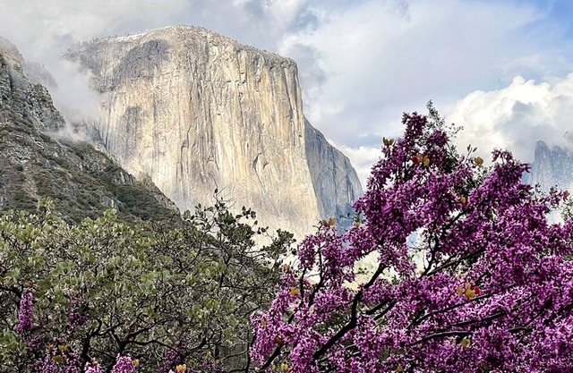 Grande maison de vacances, ancien B&B, à l'intérieur de Yosemite