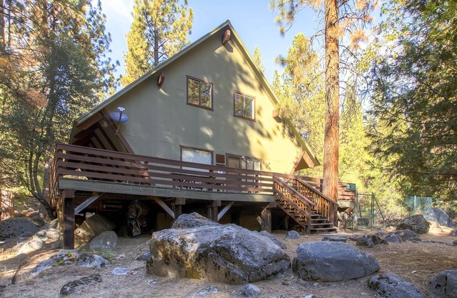 Yosemite's Creekside Birdhouse