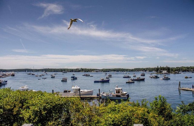 You and Yourr Dog Will Love This Boothbay Harbor Cottage