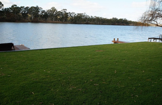Younghusband Rivertime - Riverfront à travers le ferry de Mannum