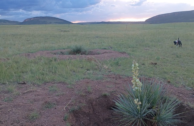 Your Claim for Frontier Days. The West, Uncrowded.
