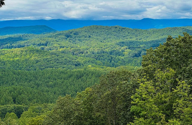 Spacious cabin with mountain views, private washer/dryer, & large deck