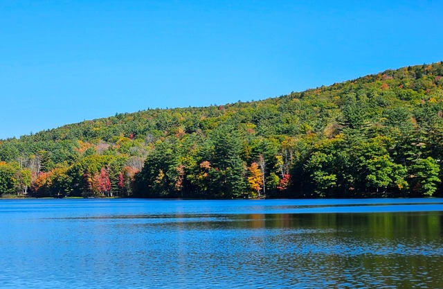 Peaceful Lakefront Retreat Central Location