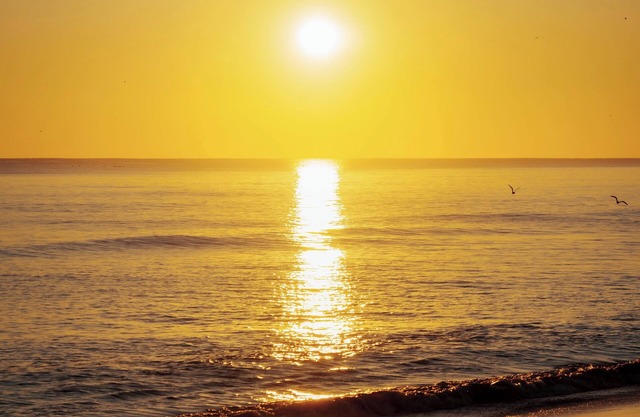 Your OBX Escape w/ Ocean View @ Sea Dunes