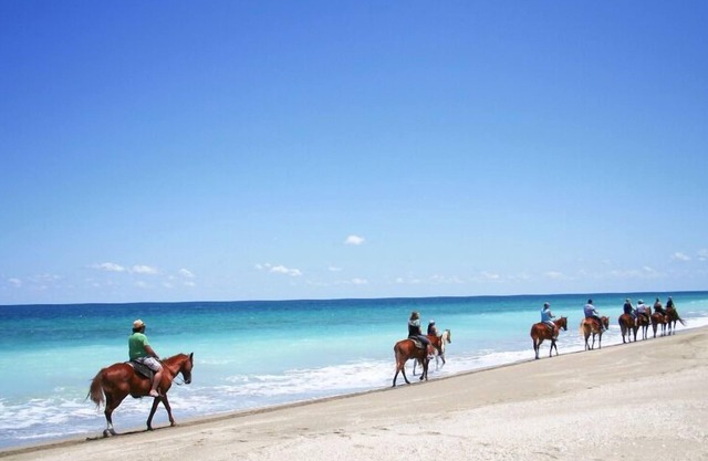 Your Perfect Vacation Spot! Walking distance to the beach