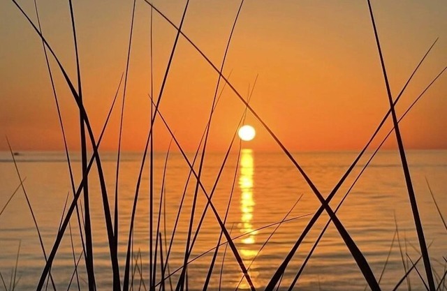 Your private beach on Lake Michigan ... book N O W! 6Night just opened Jul 6-12