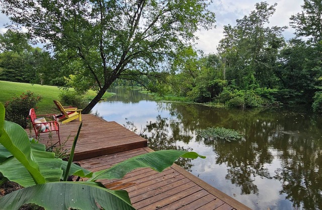 Your private cove awaits! Recharge and reconnect on Lake Tillery.