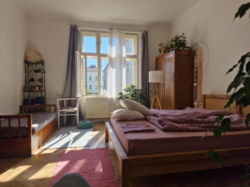 Your private room in our appartment in Kosice