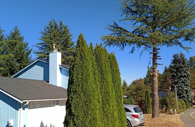 Your Sweet Home @ Somerset Bellevue, a sought after place near golf club, shops!