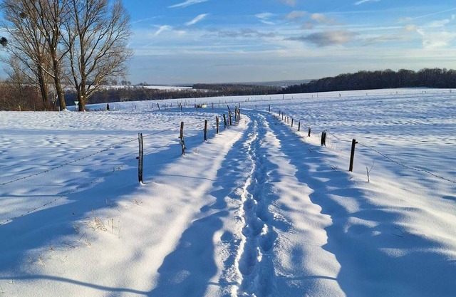 Your time out in the Eifel National Park. Experience nature