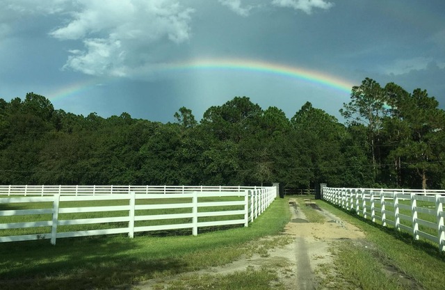 Your unique country getaway on private horse farm awaits! Horses, Pool, 10 acres