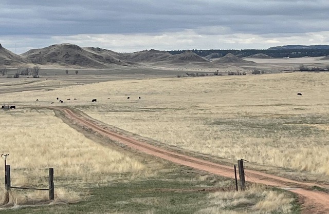YT Bunkhouse - a peaceful and private ranch getaway!