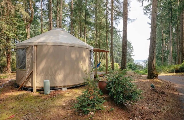 Glamping - Très beau combiné yourte et remorque dans une zone boisée avec vue sur le Puget Sound