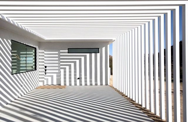 Zebra Shadow