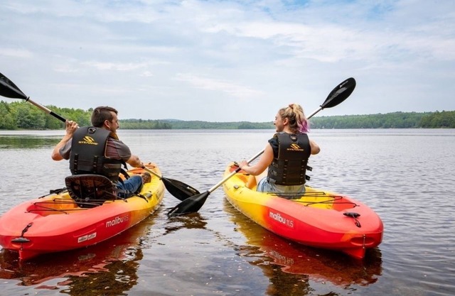 Peaceful lakefront, gradual beachfront, king size beds, Dog Friendly, AC, kayaks