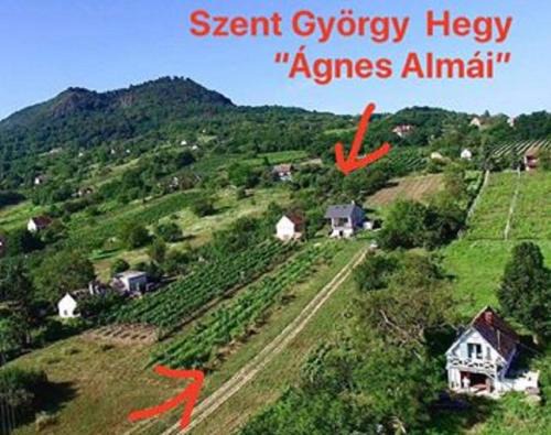 Kisapati Maison | Ágnes almái Ágnes apples