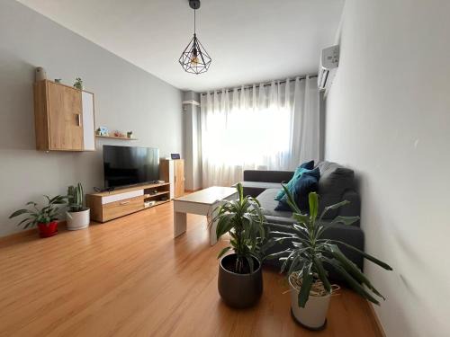 Daimiel Appartement | Ánade Real Guest House