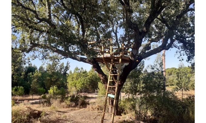 Vale de Mulheres Maison | Árvore dos Sonhos - Tree House