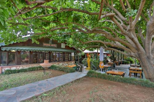 Cirali Hôtel | Çıralı Orange Motel